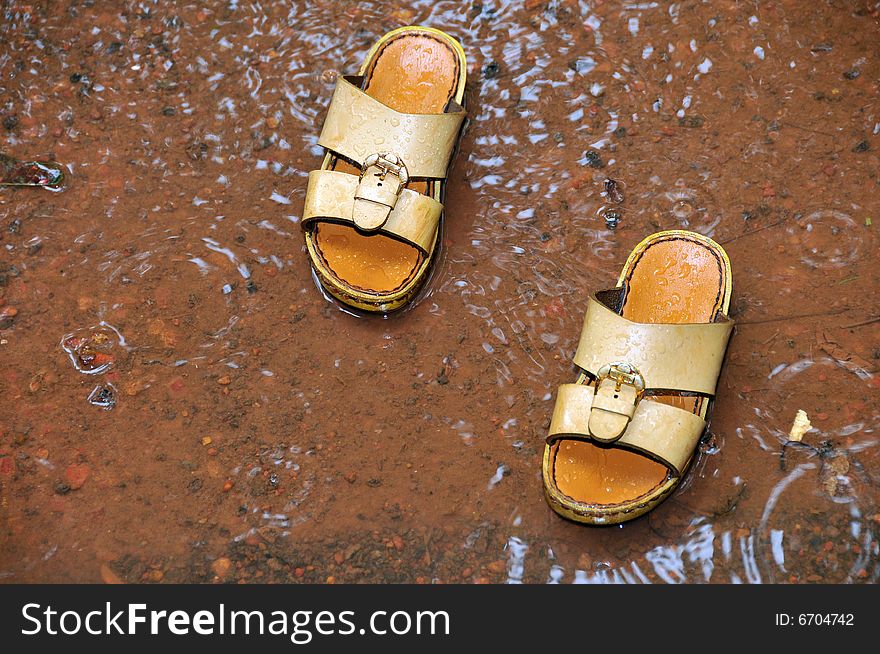 A pair of wet slippers in water
