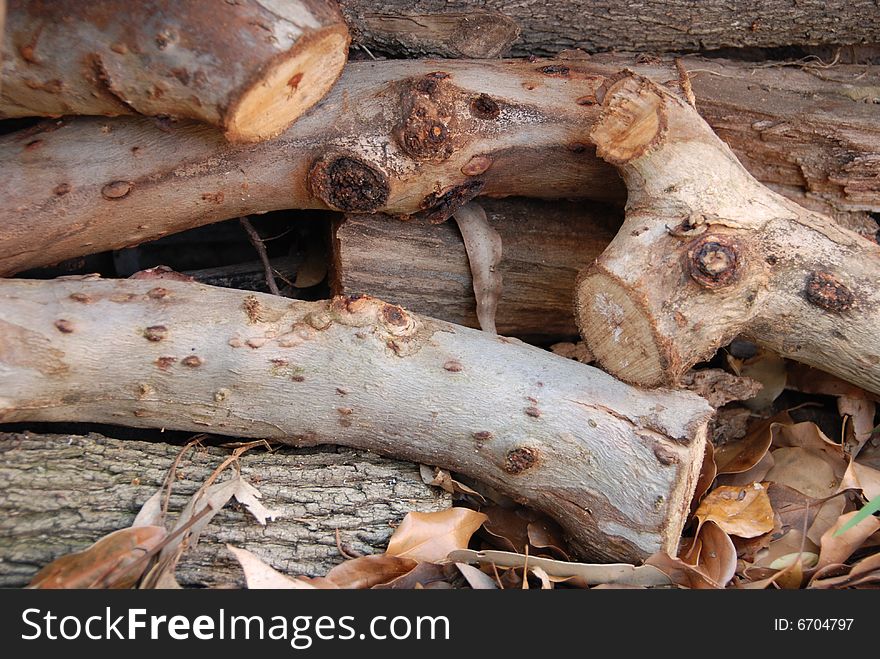 Freshly cut firewood in a pile