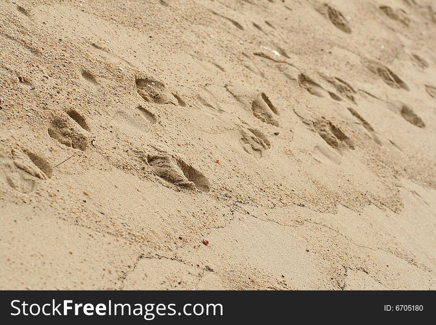 Foot Prints In Sand