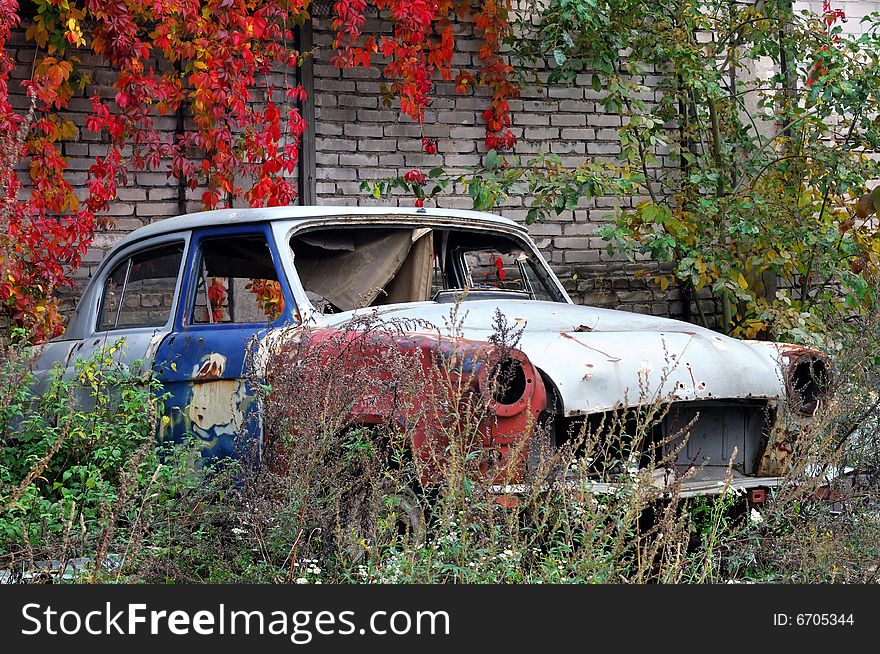 An old car abandoned in a meadow.