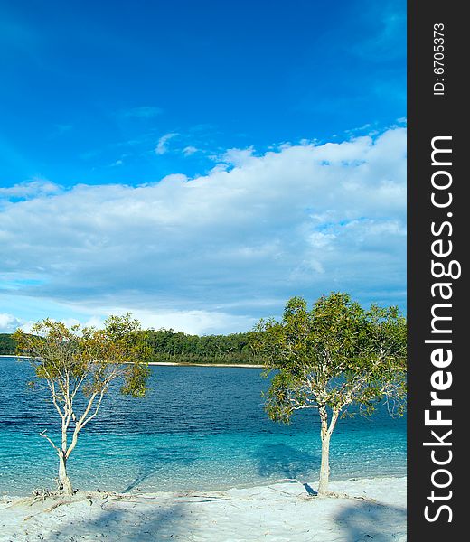 Beautiful beach and crystal clear fresh water at Lake McKenzie on Fraser Island, Australia. Beautiful beach and crystal clear fresh water at Lake McKenzie on Fraser Island, Australia