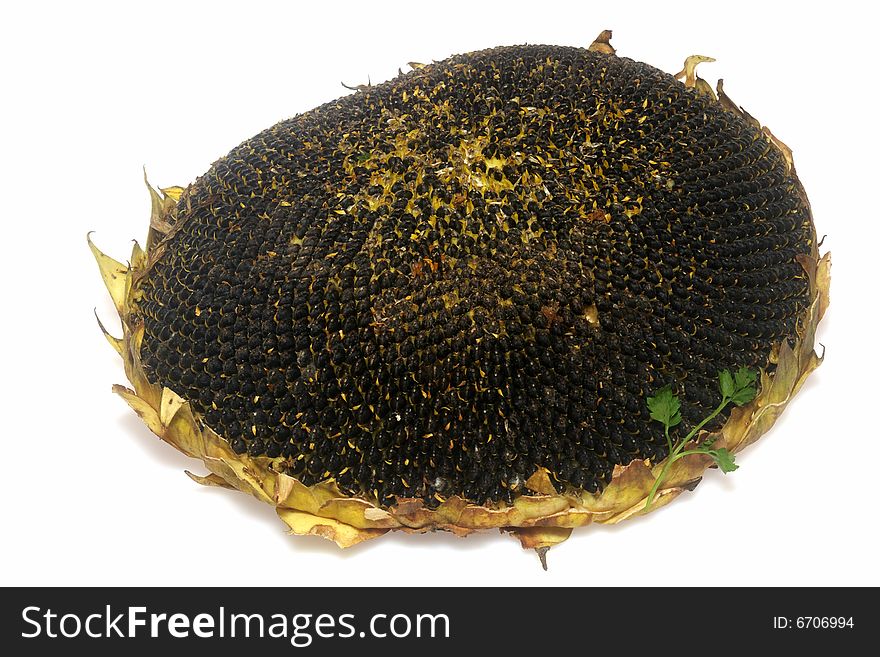 A natural sunflower seeds isolated