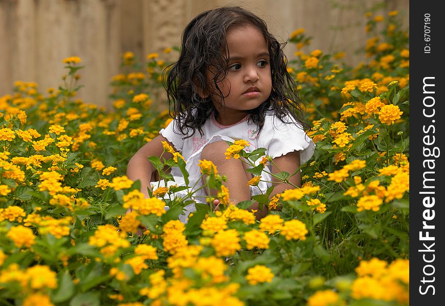 Asian girl of indian origin in a bed of yellow flowers. Asian girl of indian origin in a bed of yellow flowers