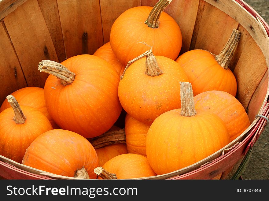 A Bunch of small pumpkins in a basket