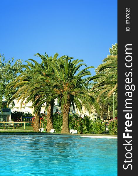 Clear blue water in swimming pool with palms