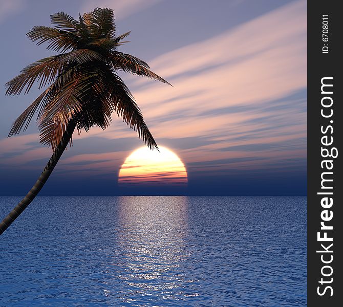 Sunset coconut palm tree on ocean coast