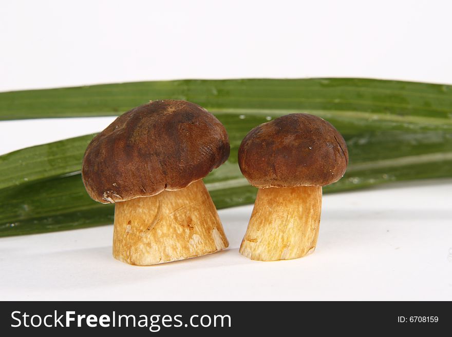 Mushrooms