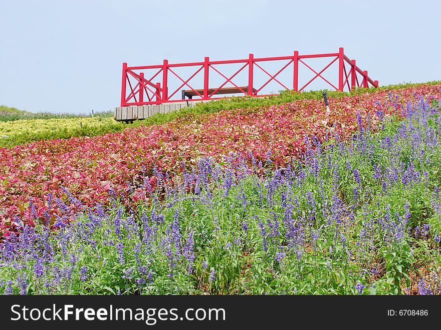 A red viewing stand at the flower garden. A red viewing stand at the flower garden