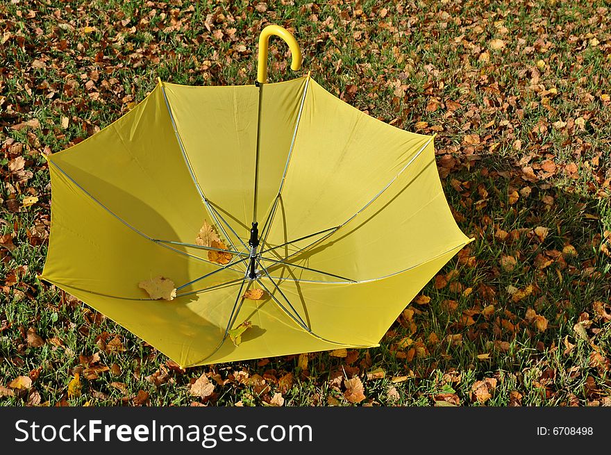 An open yellow umbrella upside down on green grass and fallen leaves.