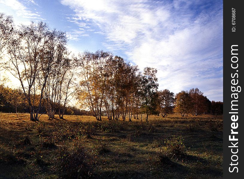 A golden autumn field,it is named bashang.