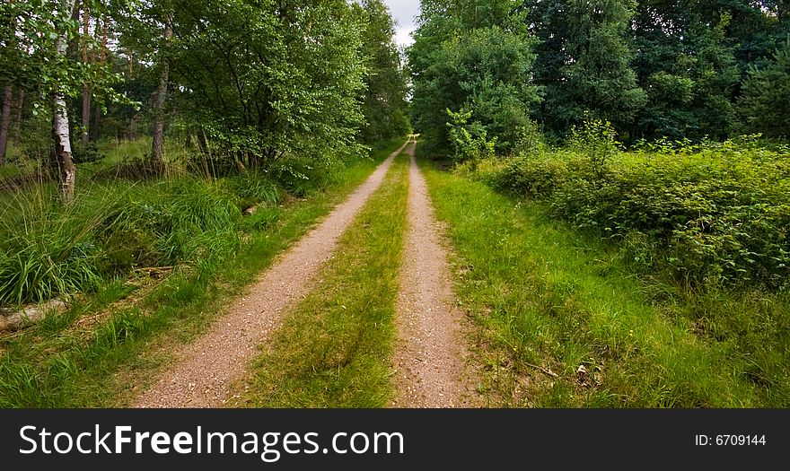 Sand path in a rural environment with cloudy blue sky. Sand path in a rural environment with cloudy blue sky