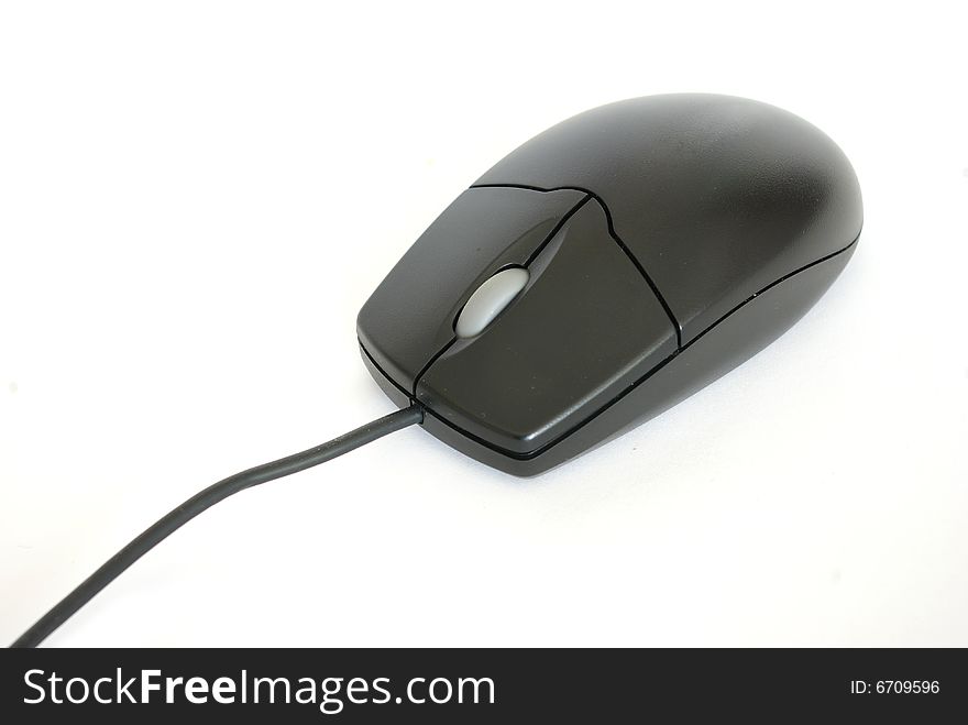 Black computer mouse isolated on white