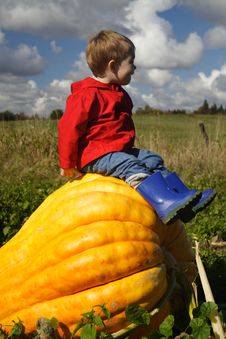 Sitting On A Pumpkin Stock Images Sitting On A Pumpkin Stock Images