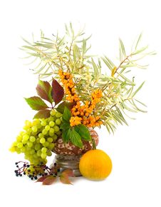 Pumpkin With Wild And Green Grapes Stock Photography Pumpkin With Wild And Green Grapes Stock Photography