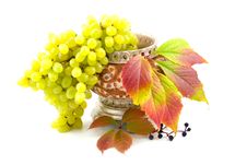 Cultural And Wild Grapes Royalty Free Stock Photography Cultural And Wild Grapes Royalty Free Stock Photography