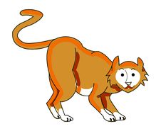 Orange Tabby Cat Royalty Free Stock Photo