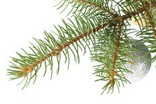 Fir Tree Branch With Decoration Royalty Free Stock Photography