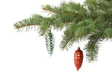 Fir Tree Branch With Decoration Royalty Free Stock Photos