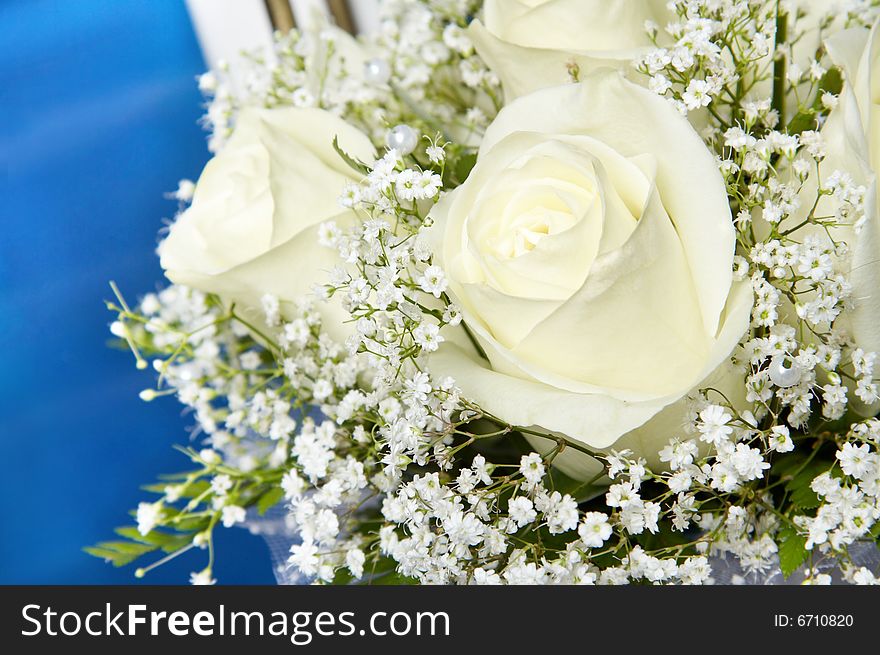 Bouquet of white roses on blue