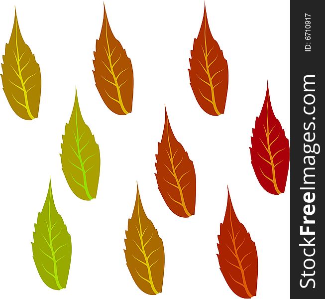 Red and green leaves on white background