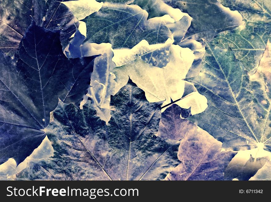Abstract background with autumn leaves