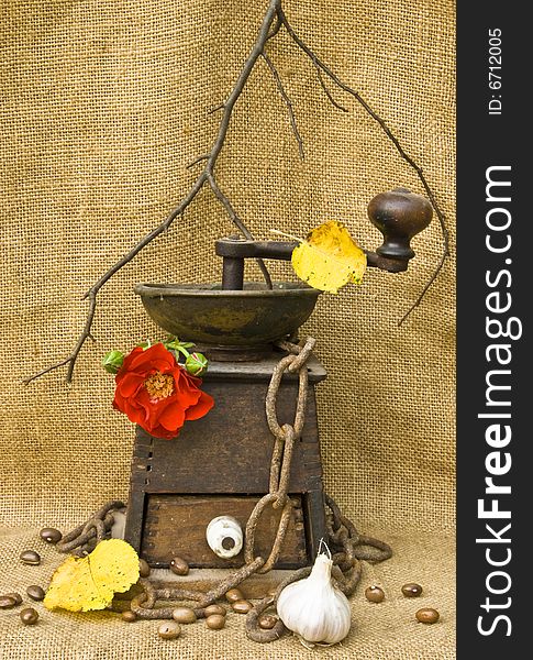 A coffee mill with beans garlic and a rose in the autumn mood of harvest