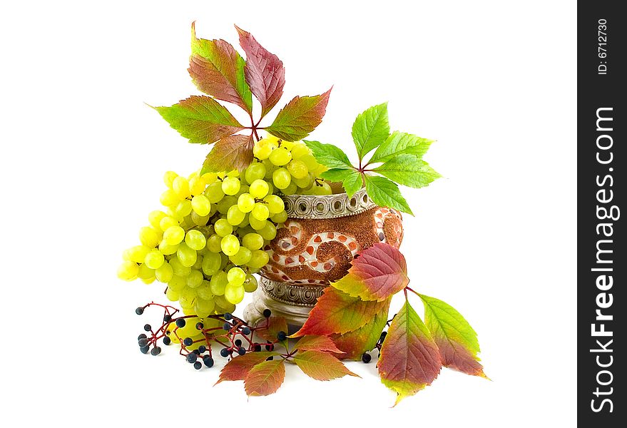 Black wild twisted and cultural green ripe tasty beautiful grapes in yellow ceramic vase on white background. Black wild twisted and cultural green ripe tasty beautiful grapes in yellow ceramic vase on white background