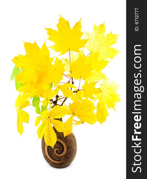 Branches of maple and chestnut with bright and beautiful yellow leaves in brown ceramic vessel on white background