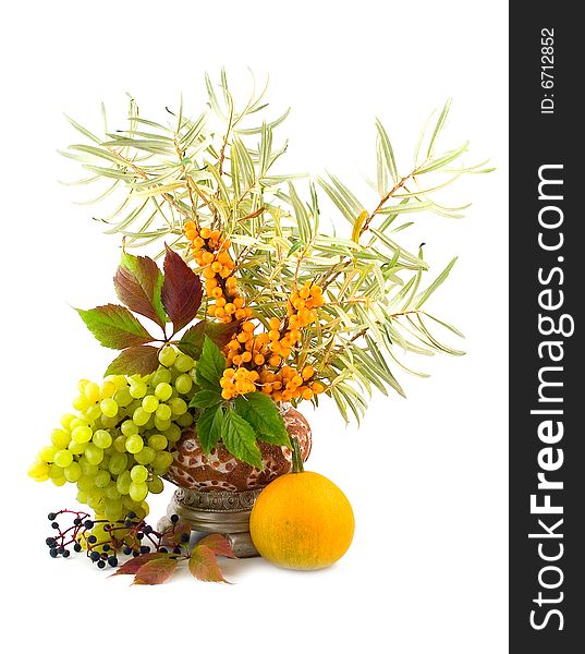 Pumpkin With Wild And Green Grapes