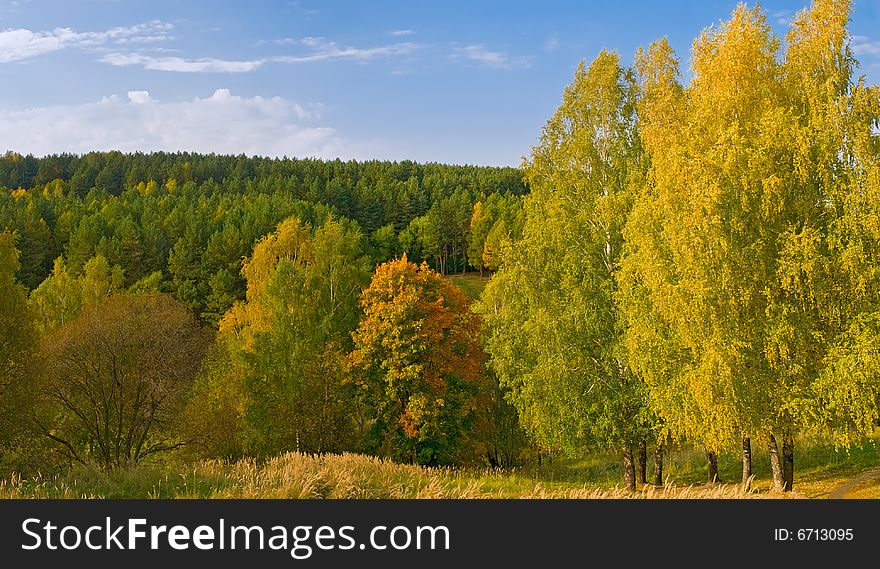 Vivid colors autumn landscape. shallow dof. Vivid colors autumn landscape. shallow dof