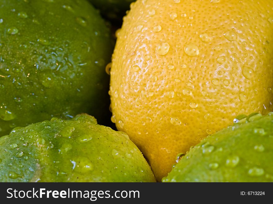 Lemon lime orange fruit set close up and water drops in the set. Lemon lime orange fruit set close up and water drops in the set