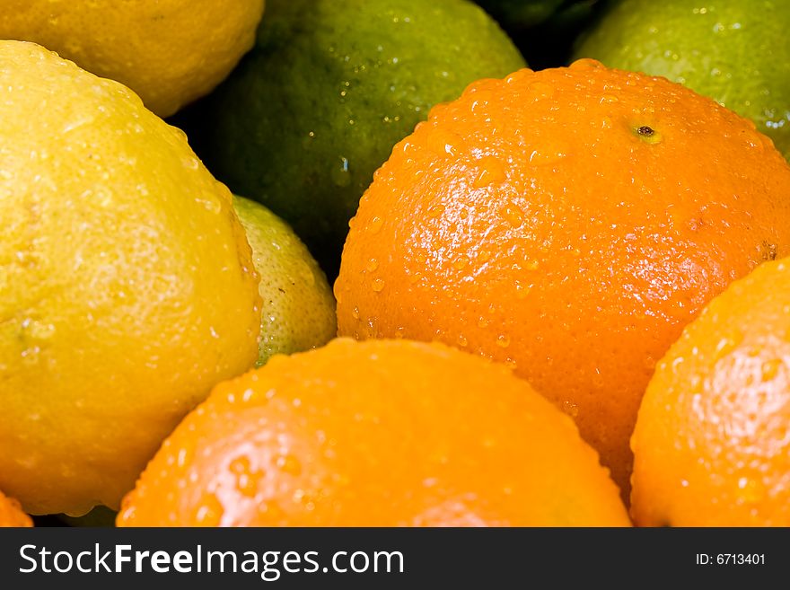 Lemon lime orange fruit set close up and water drops in the set. Lemon lime orange fruit set close up and water drops in the set