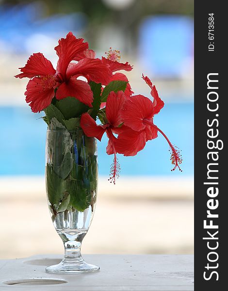 Flowers in glass standing by the swimming pool