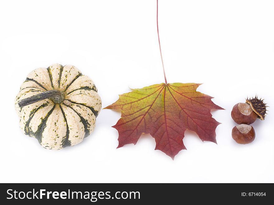 Pumpkin, maple leaf and chestnut on white background. Pumpkin, maple leaf and chestnut on white background