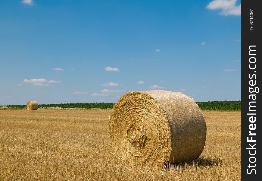 Rural landscape with straw rolls and blue sky