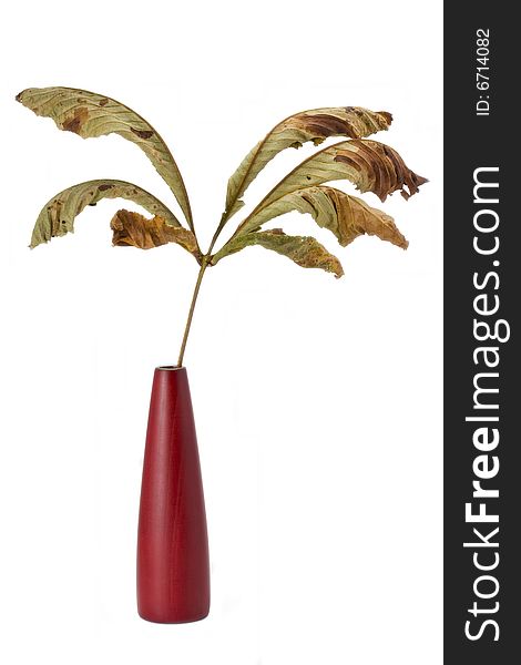 Dried single autumn chestnut leaf in a red vase