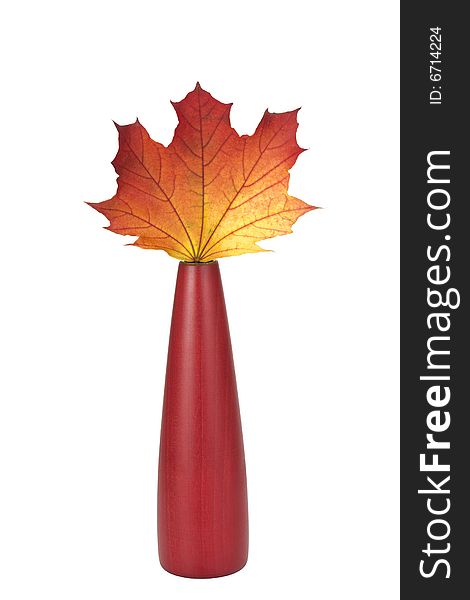 Single autumn maple leaf in a red vase