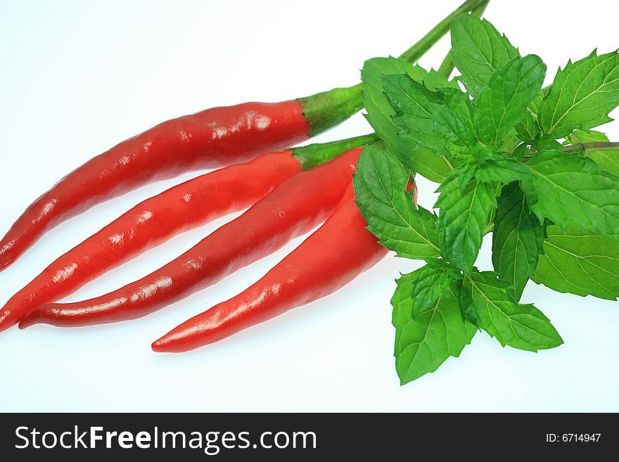 Red Chili Green Mint Isolation on White Background