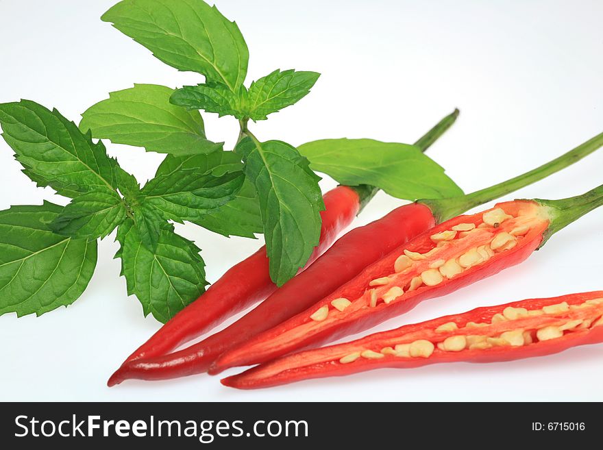Hot Chili with Cool Mint Isolation  on White Background
