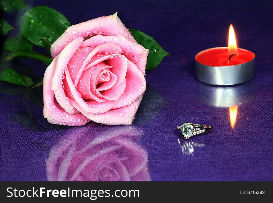 Rose with Diamond Ring on Purple Background