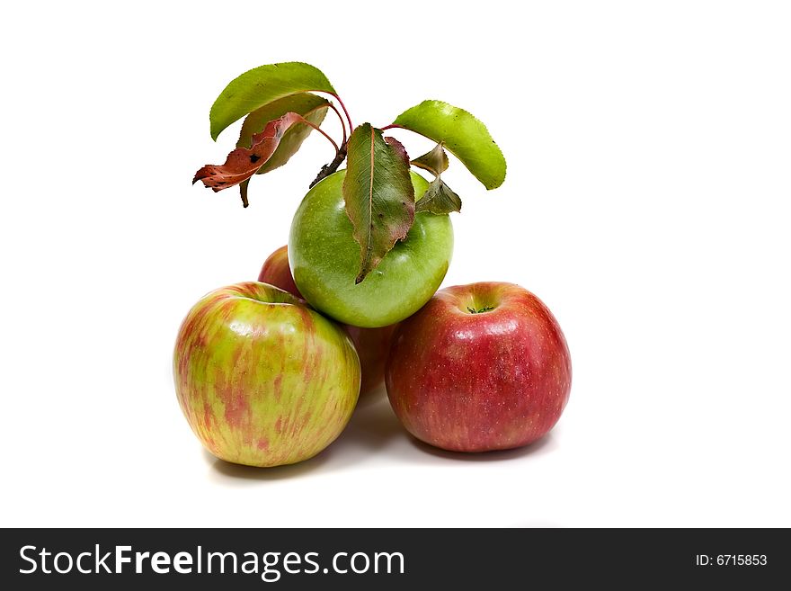 Gala and Granny Smith apples isolated on white