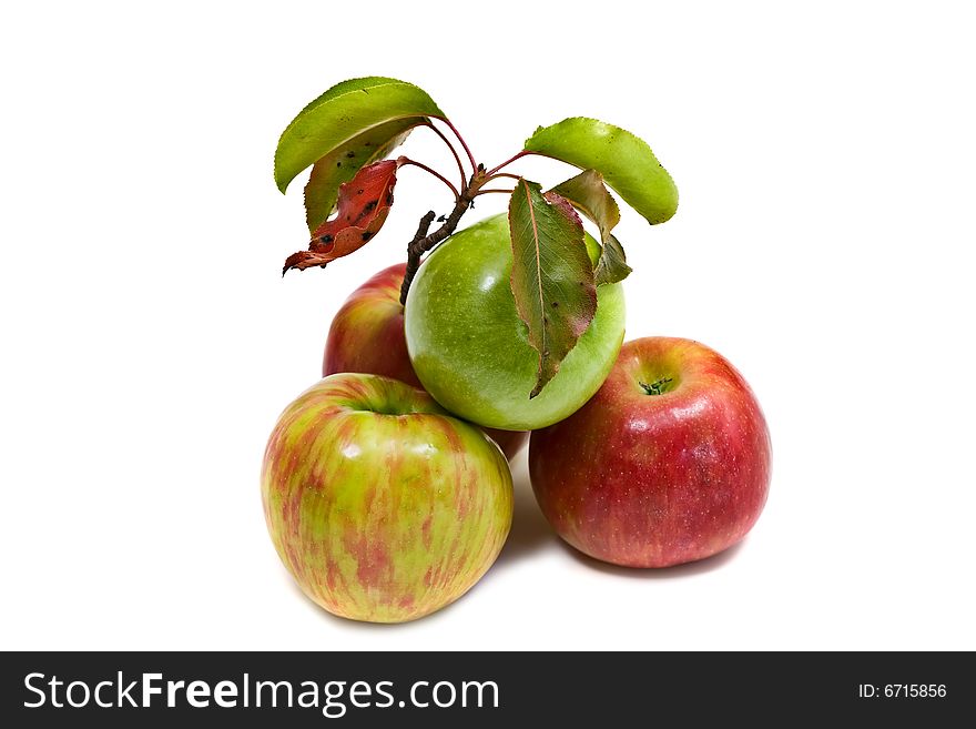 Gala and Granny Smith apples isolated on white