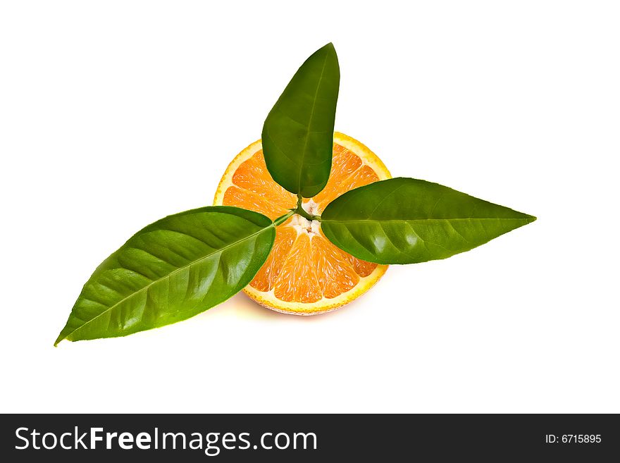 Oranges Isolated On White