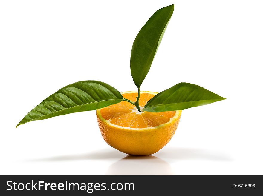 Oranges Isolated On White