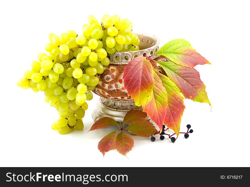 Cultural green and wild black maiden grapes in yellow ceramic vase on white background. Cultural green and wild black maiden grapes in yellow ceramic vase on white background