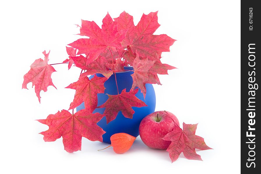 Red autumn leaves branch dark blue vase ripe apple on white background
