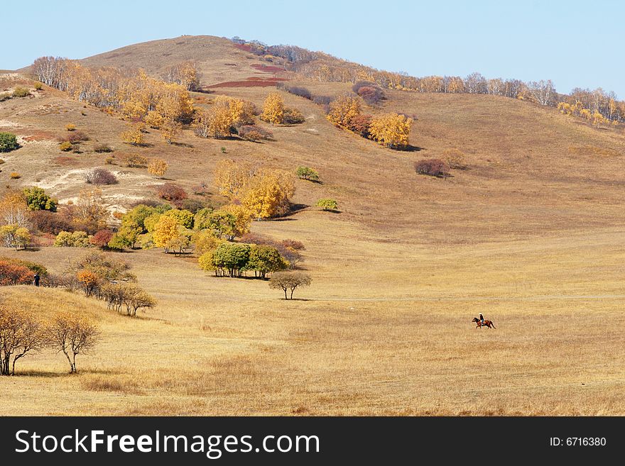 Autumnal landscape in Mulanweichang forest park in china. Autumnal landscape in Mulanweichang forest park in china.