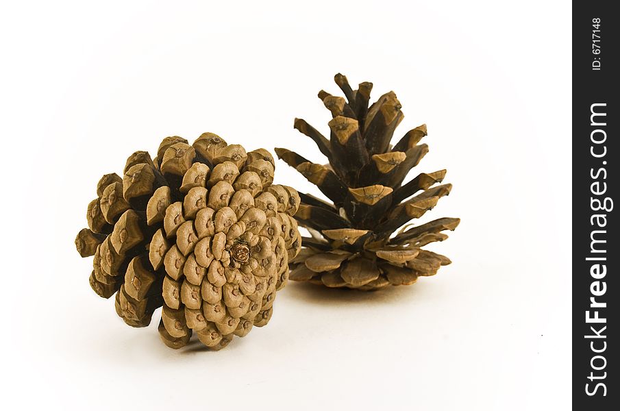 Pine cones isolated on white background