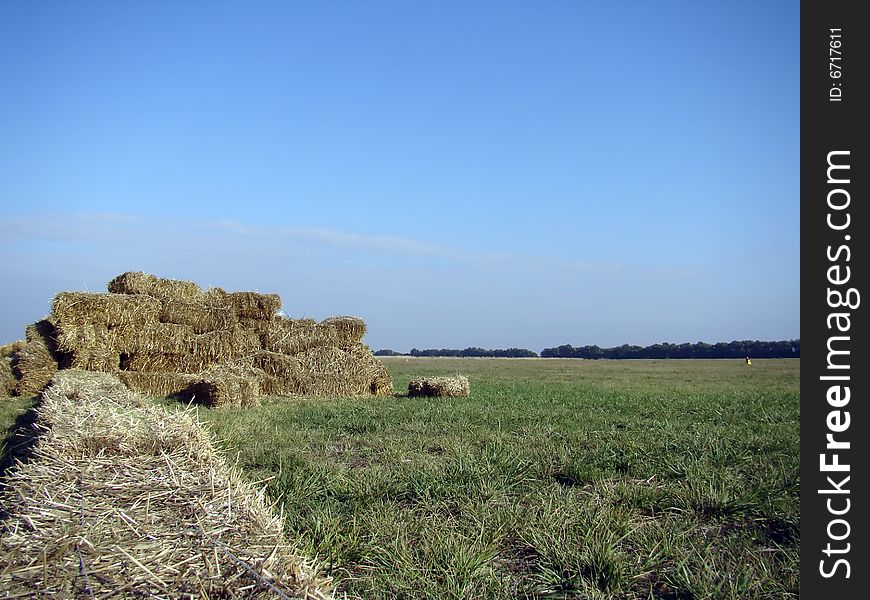 Stack Of Hay