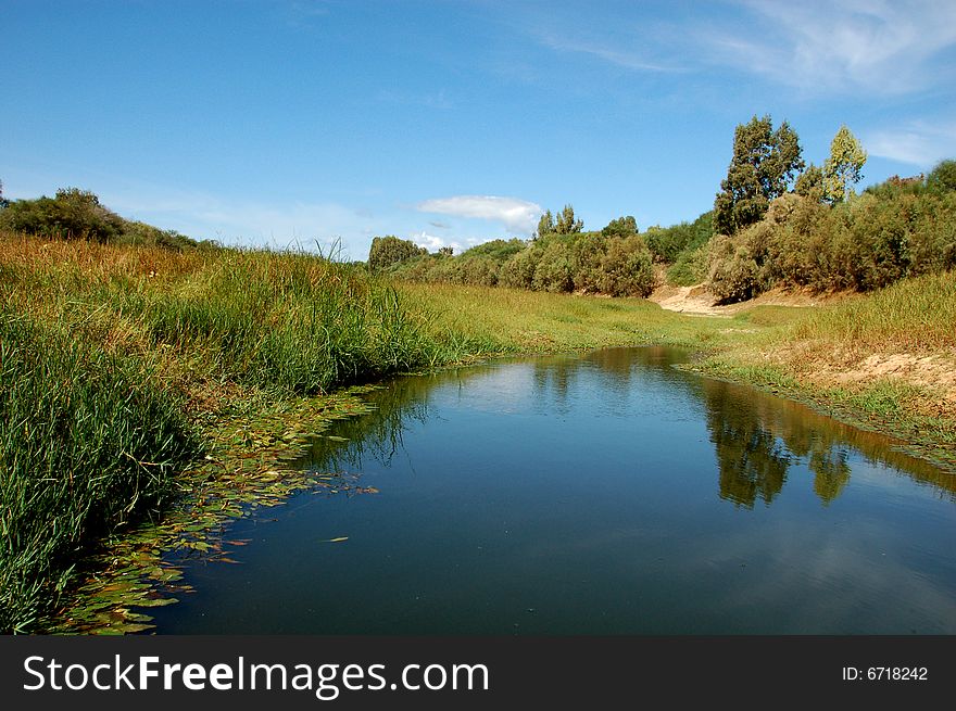 Summer Landscape.Israel.Lake.Day